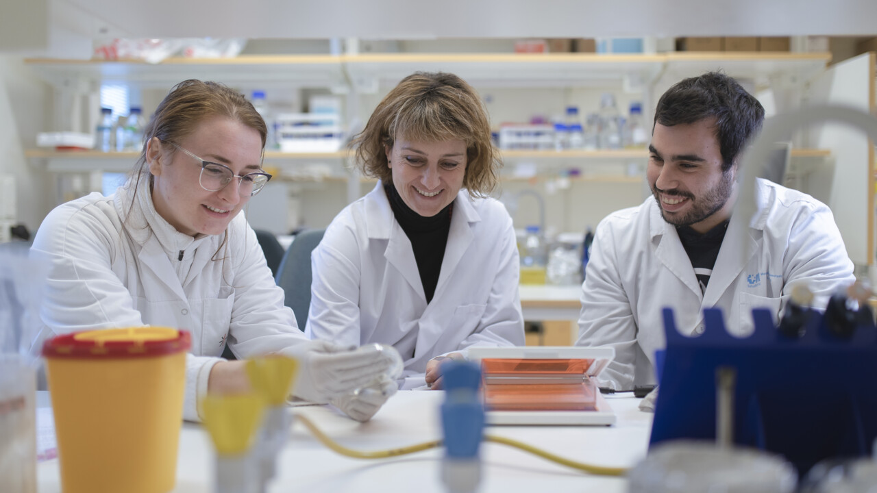 Wallenberg centrum för molekylär medicin