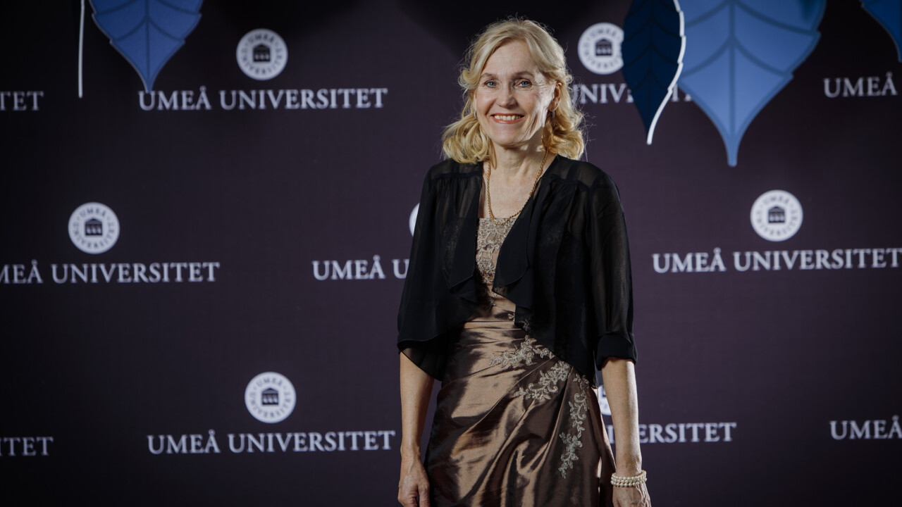 En bild av en person klädd i långklänning för att visa klädsel vid Årshögtiden