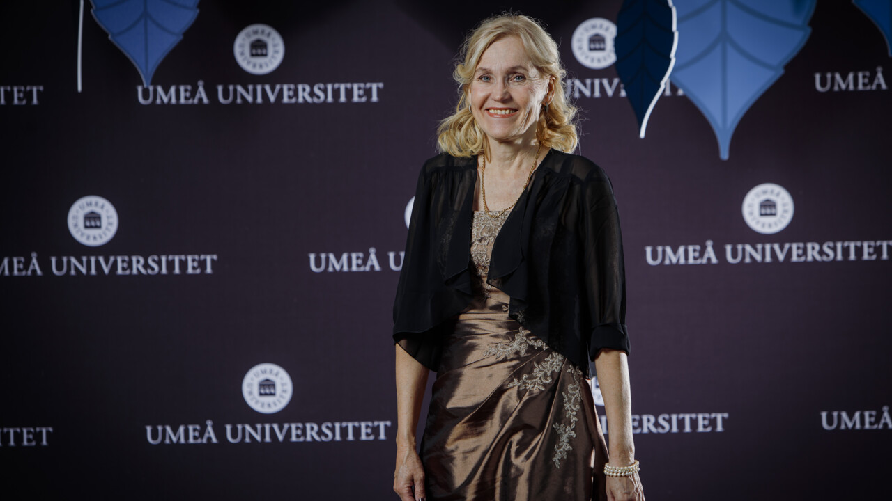 En bild av en person klädd i långklänning för att visa klädsel vid Årshögtiden