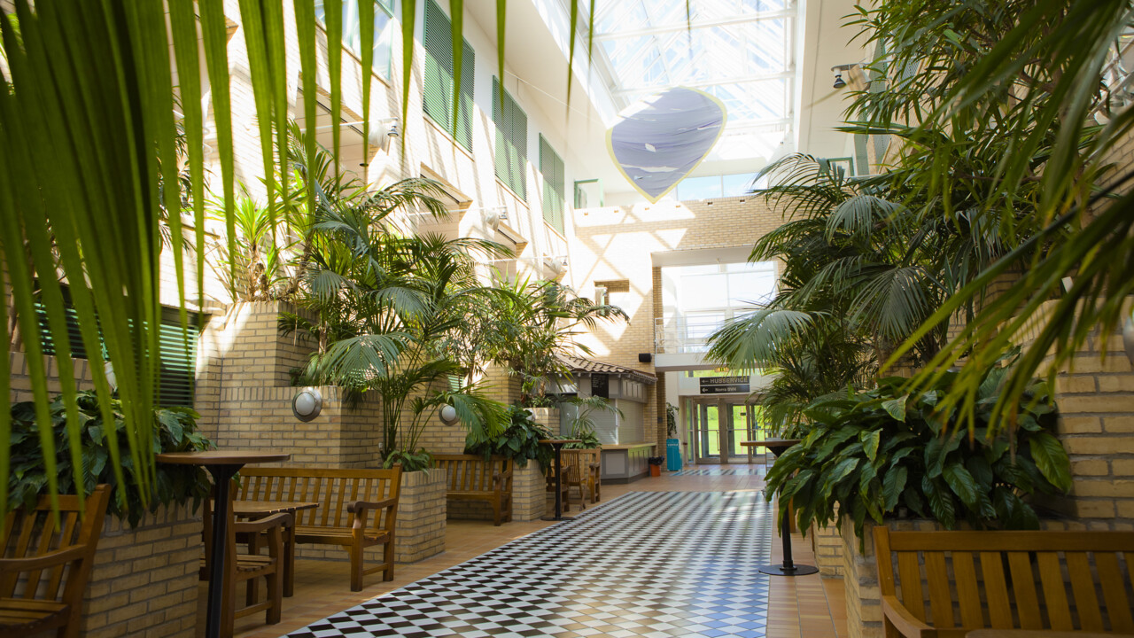 Beteendevetarhusets ljusgård