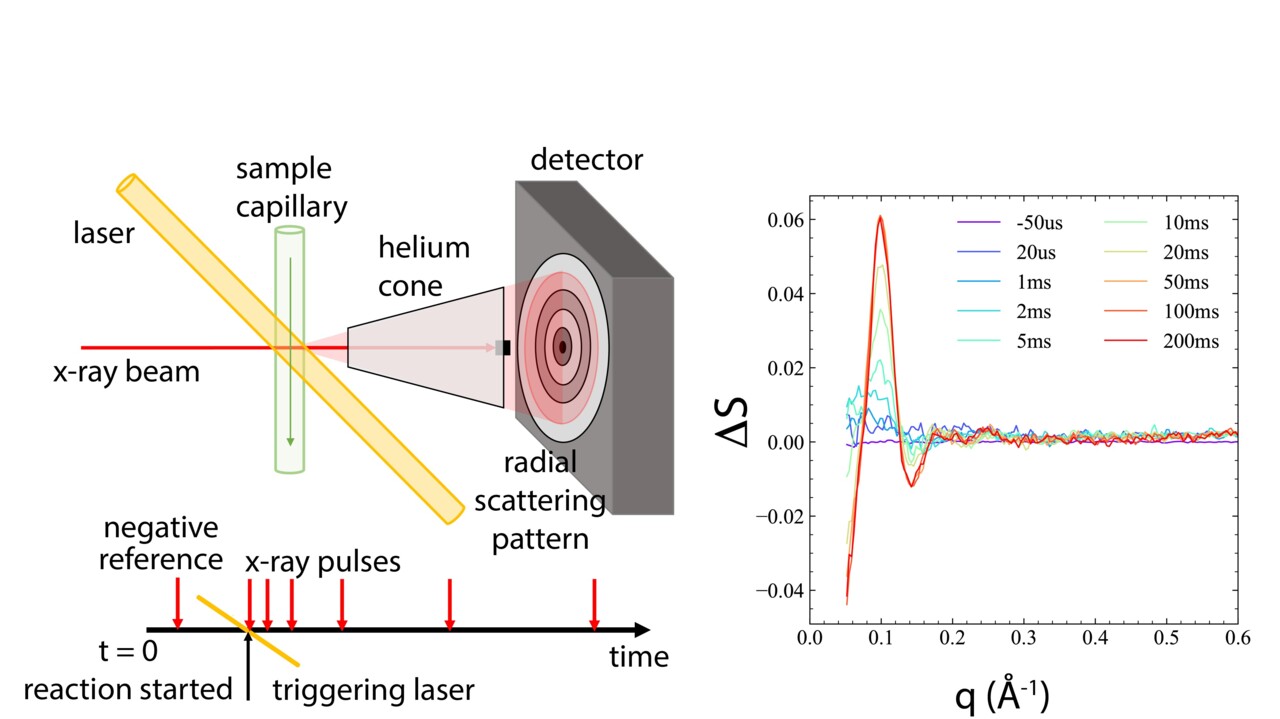 Magnus P Andersson Lab