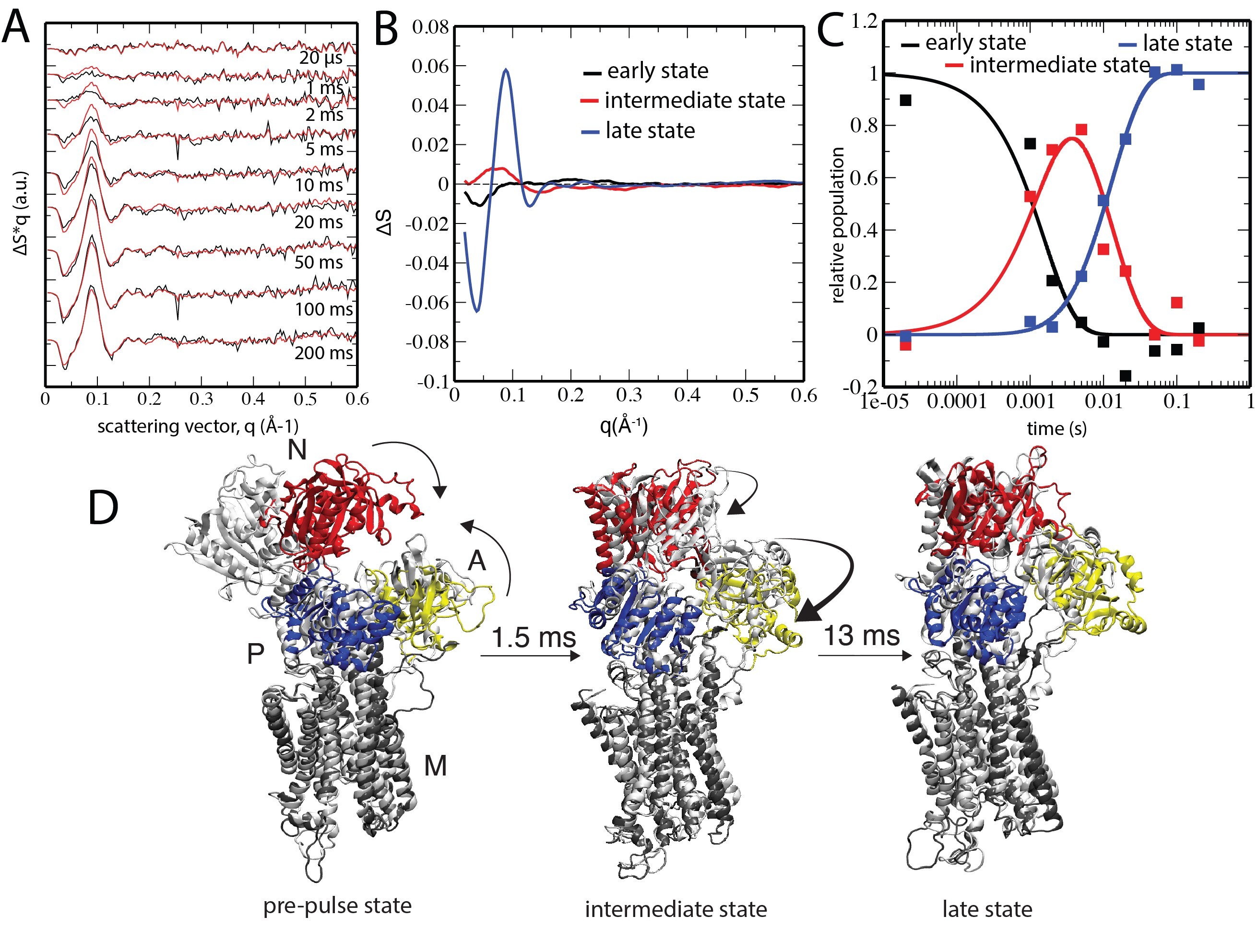 Magnus P Andersson Lab bild2