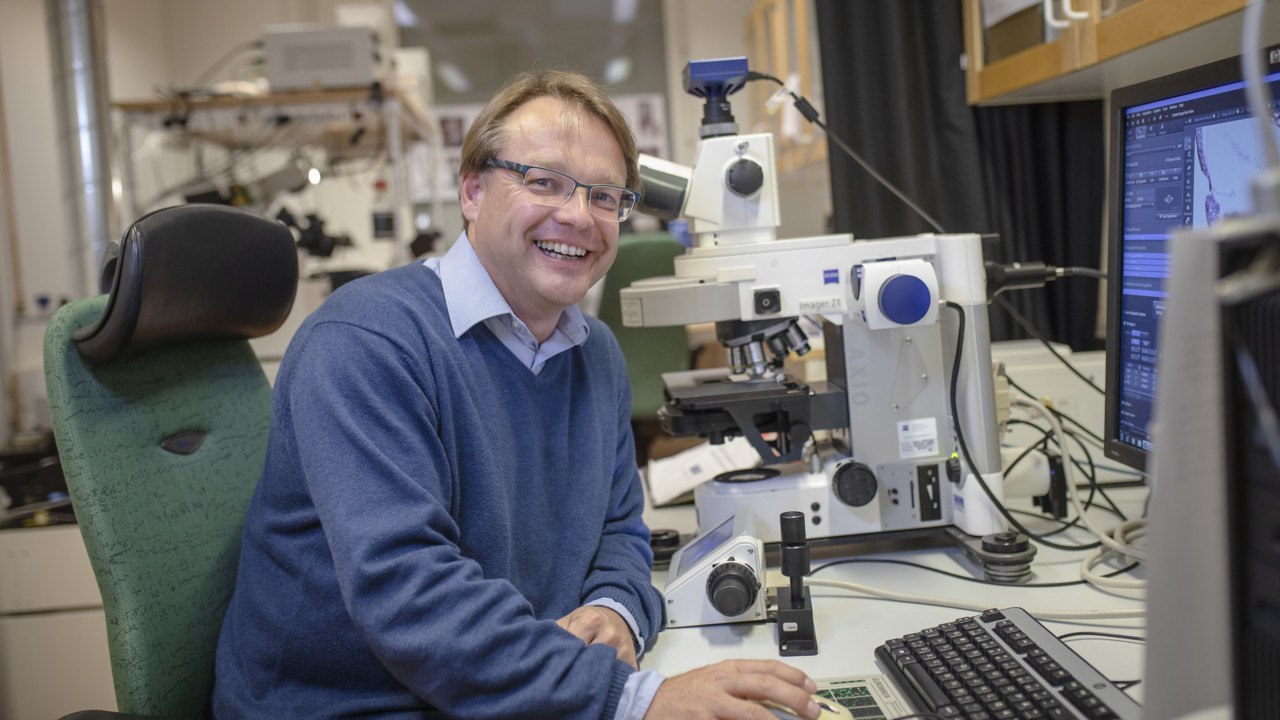 Film: Open, non-hierarchical and modern research environment at Umeå University