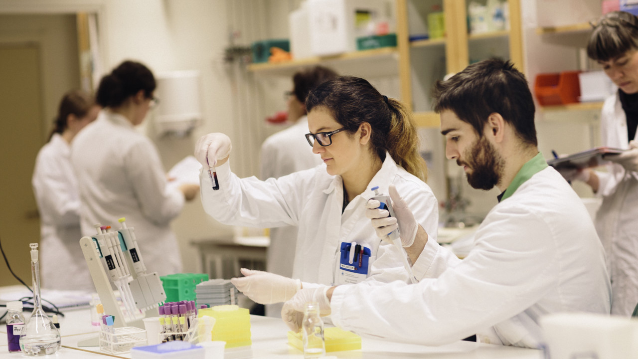 International Degree Programmes