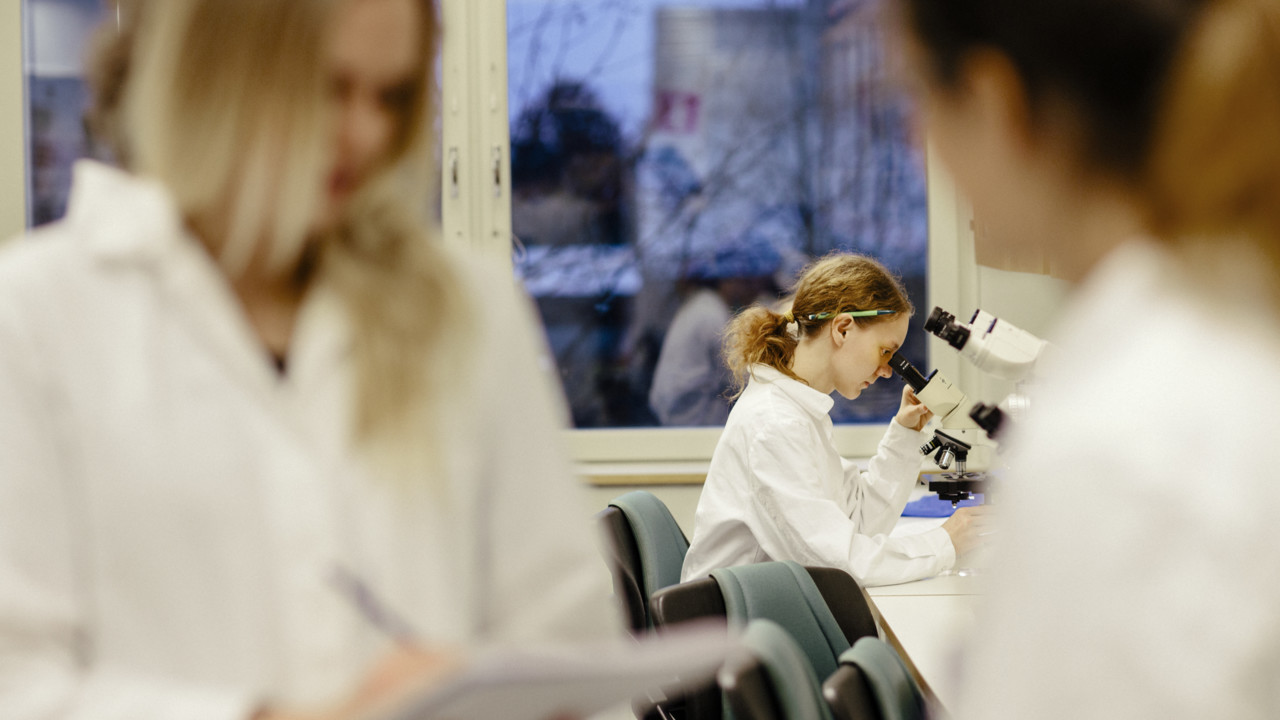 Bild från arbete i lab