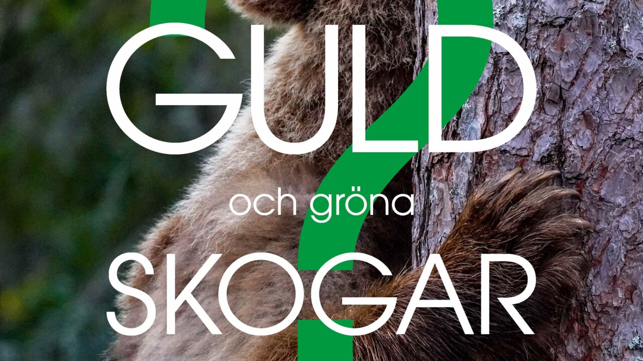 Film: Dokumentärfilm "Guld och gröna skogar?"