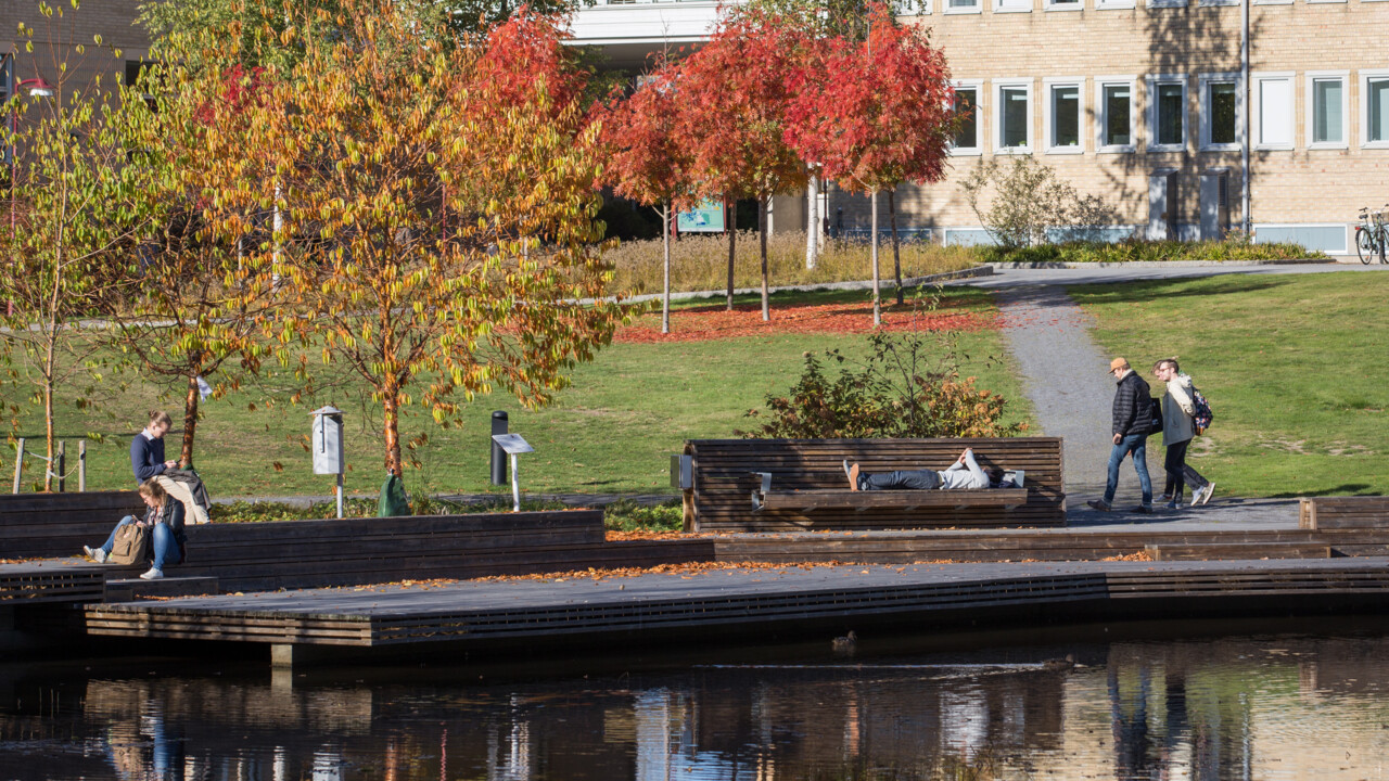 Bild på höstfärger på campus