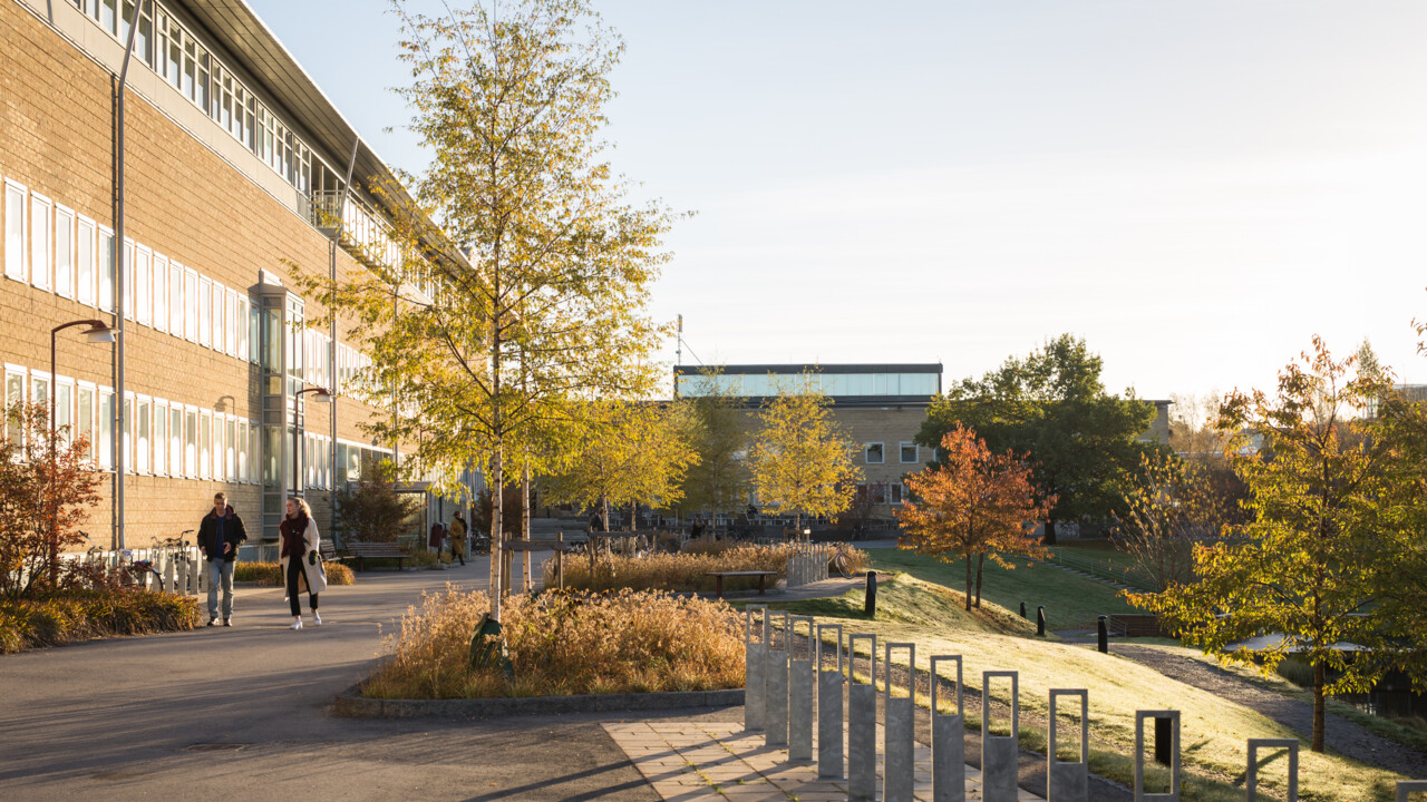 Bild på höstfärger på campus
