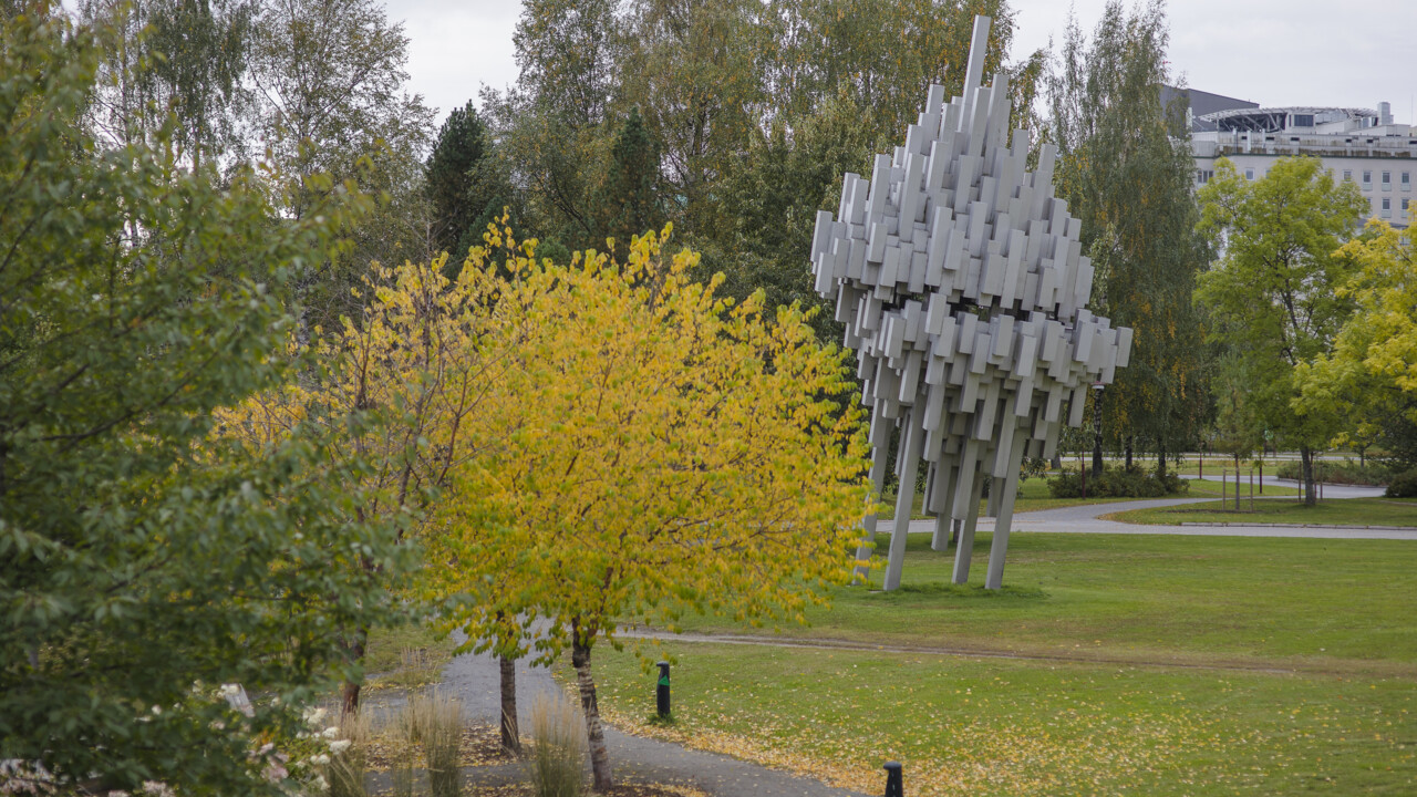 Bild på campus ängar med skog i bakgrunden
