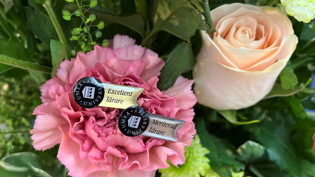 Bild från ceremonin för utnämnda lärare september 2022.