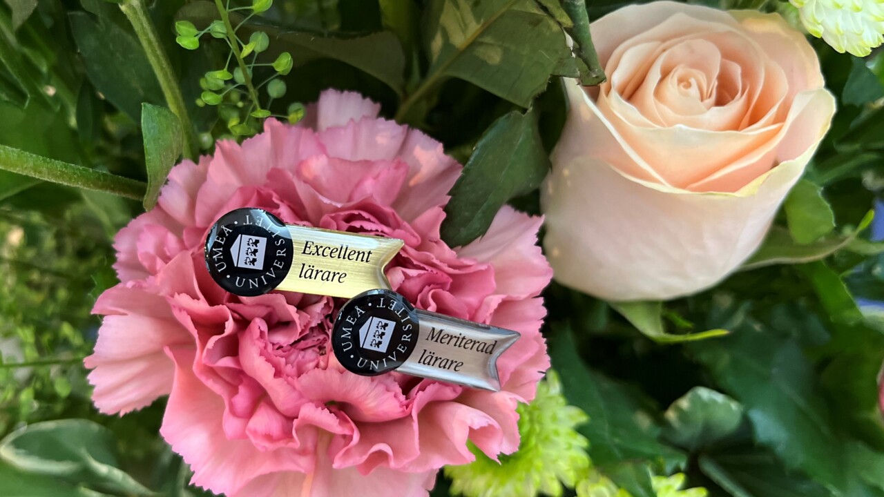 A picture from the ceremony for appointed teachers in September 2022.