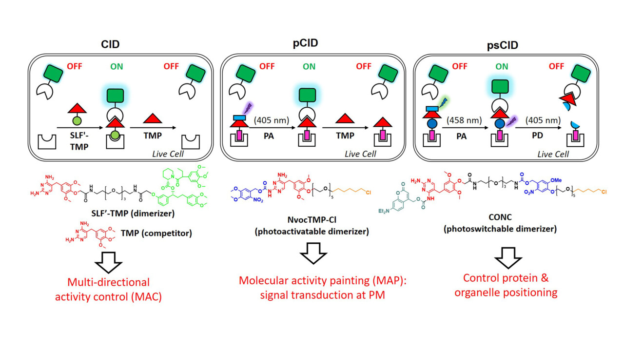 Chemical and chemo-optogenetics