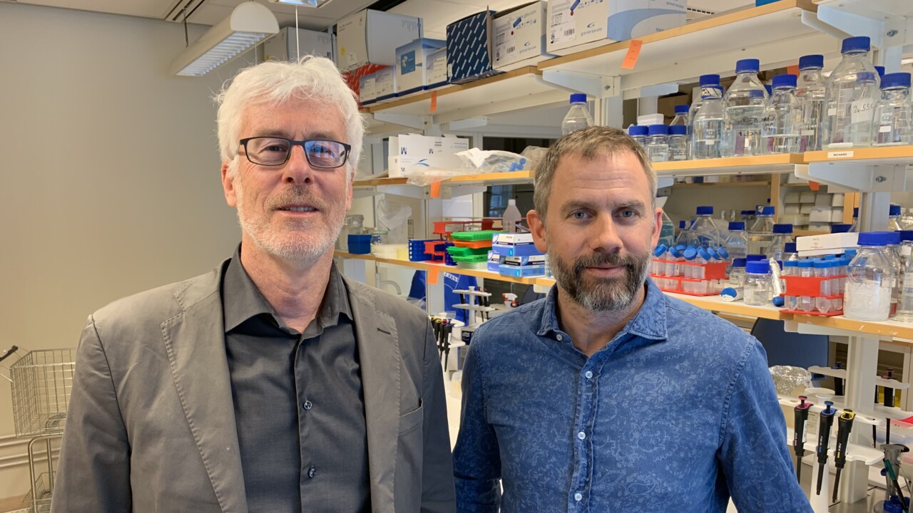 Clas Ahlm, & Mattias Forsell