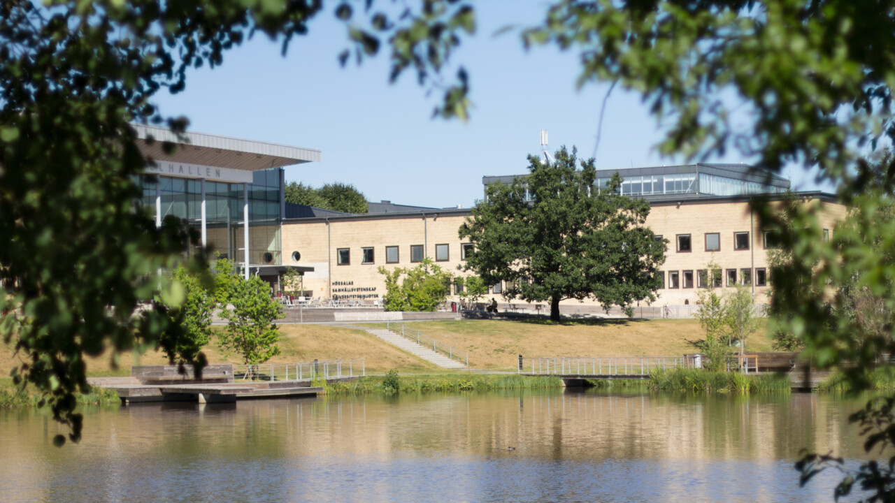 Campusdammen genom trädgrenar