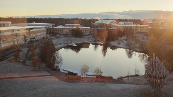 Översiktsbild över delar av Campus Umeå 