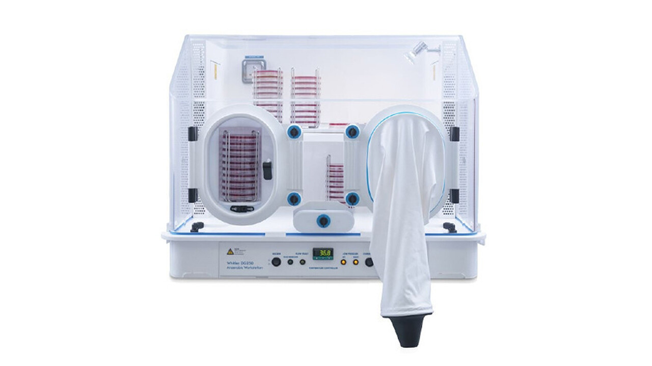A DG250 Don Whitley anoxic workstation for examining anaerobic samples without exposure to atmospheric oxygen