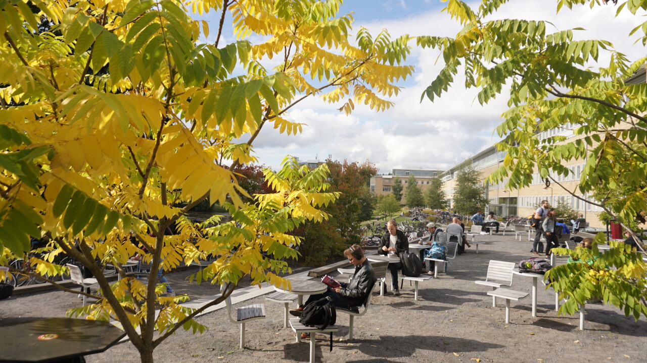 Handelshögskolans kurser