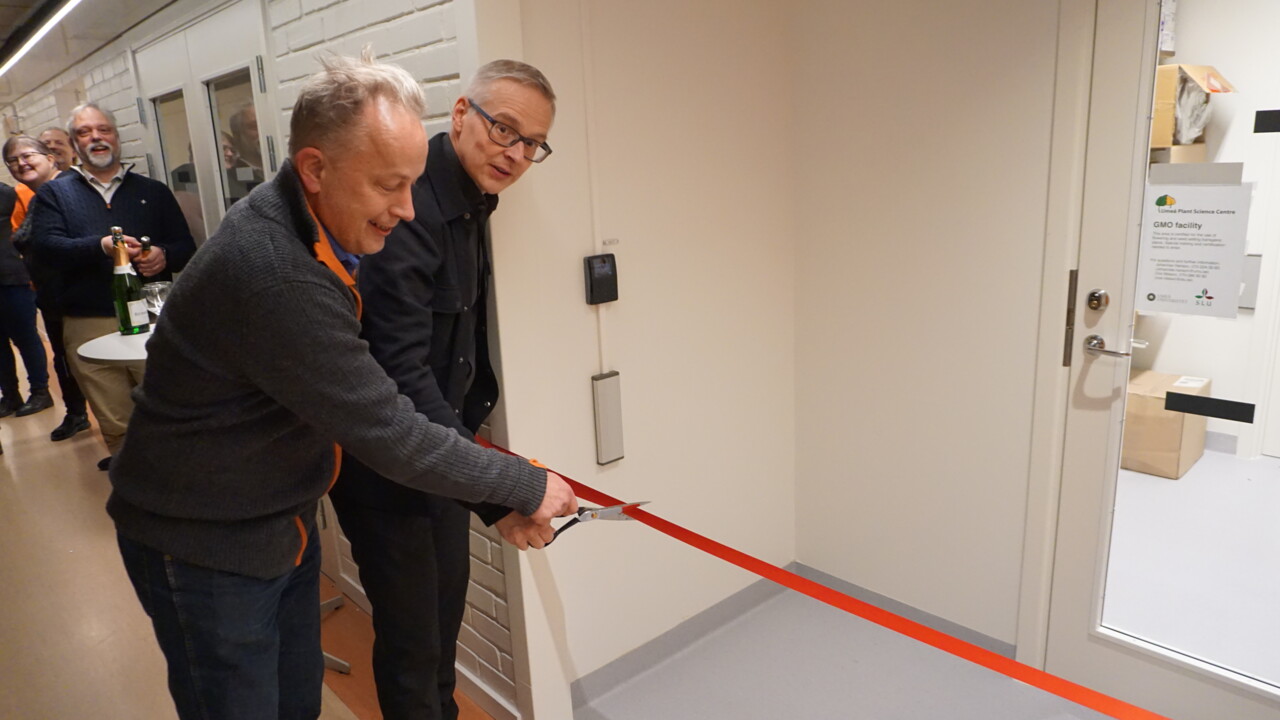 Göran Ericsson and Mikael Elofsson cut a red ribbon with a scissor