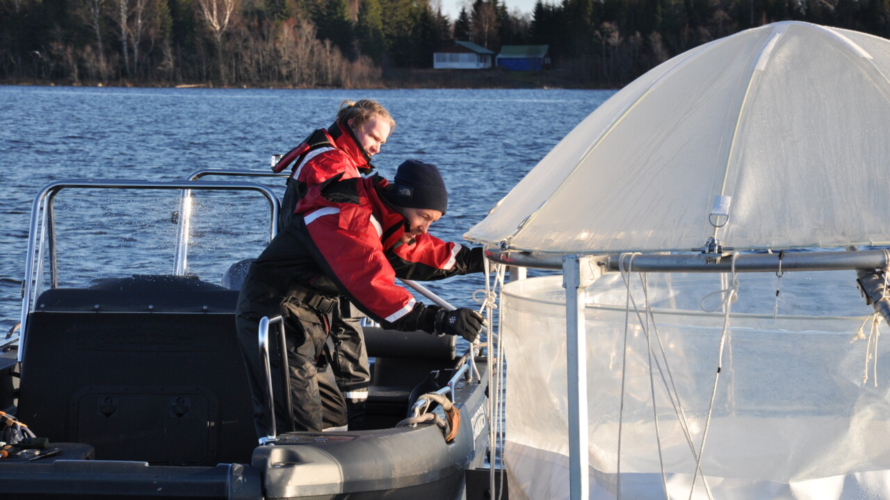 Två personer står i en mindre båt och fyller vatten i mesokosmer
