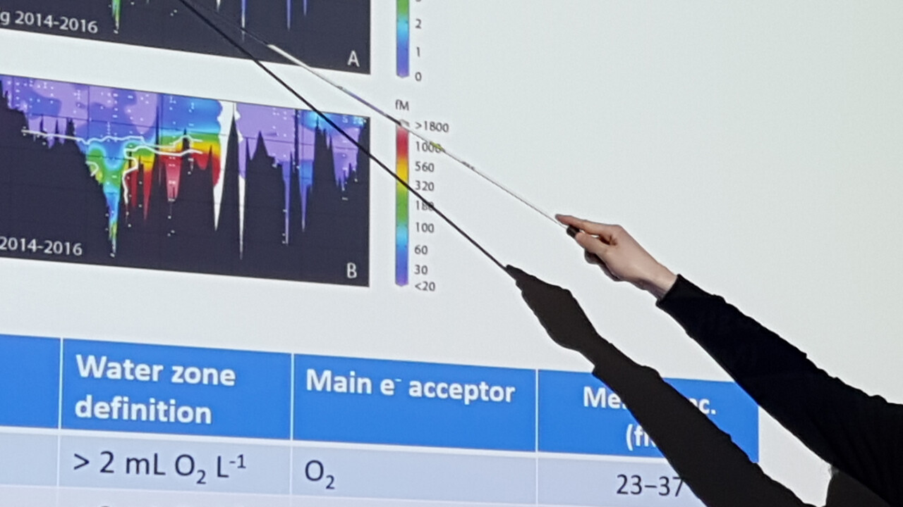 Mersorcium-nätverket