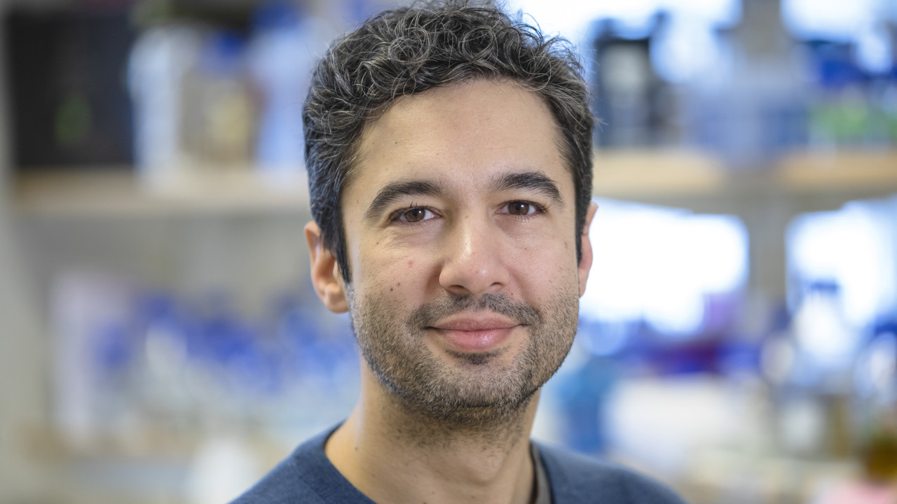 Film: Kampen mot antibiotikaresistensen