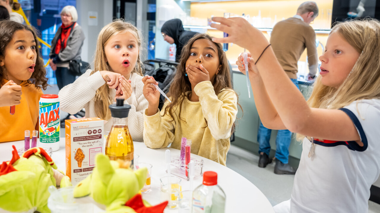 Curiosum erbjuder aktiviteter och upplevelser för barn och vuxna.