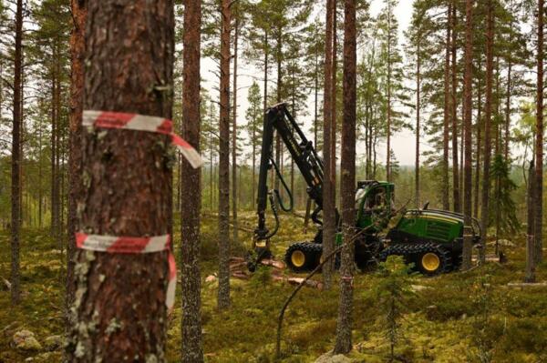 En grön skogshuggarmaskin bland träd i skogen