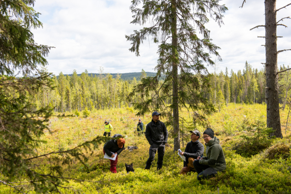 Människor på fältträff i skogen