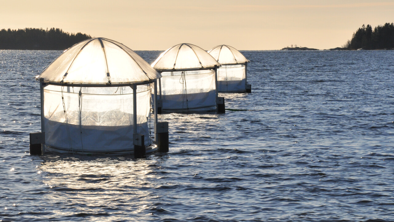 Ställningar med plastsäckar i som ligger placerade i havet.