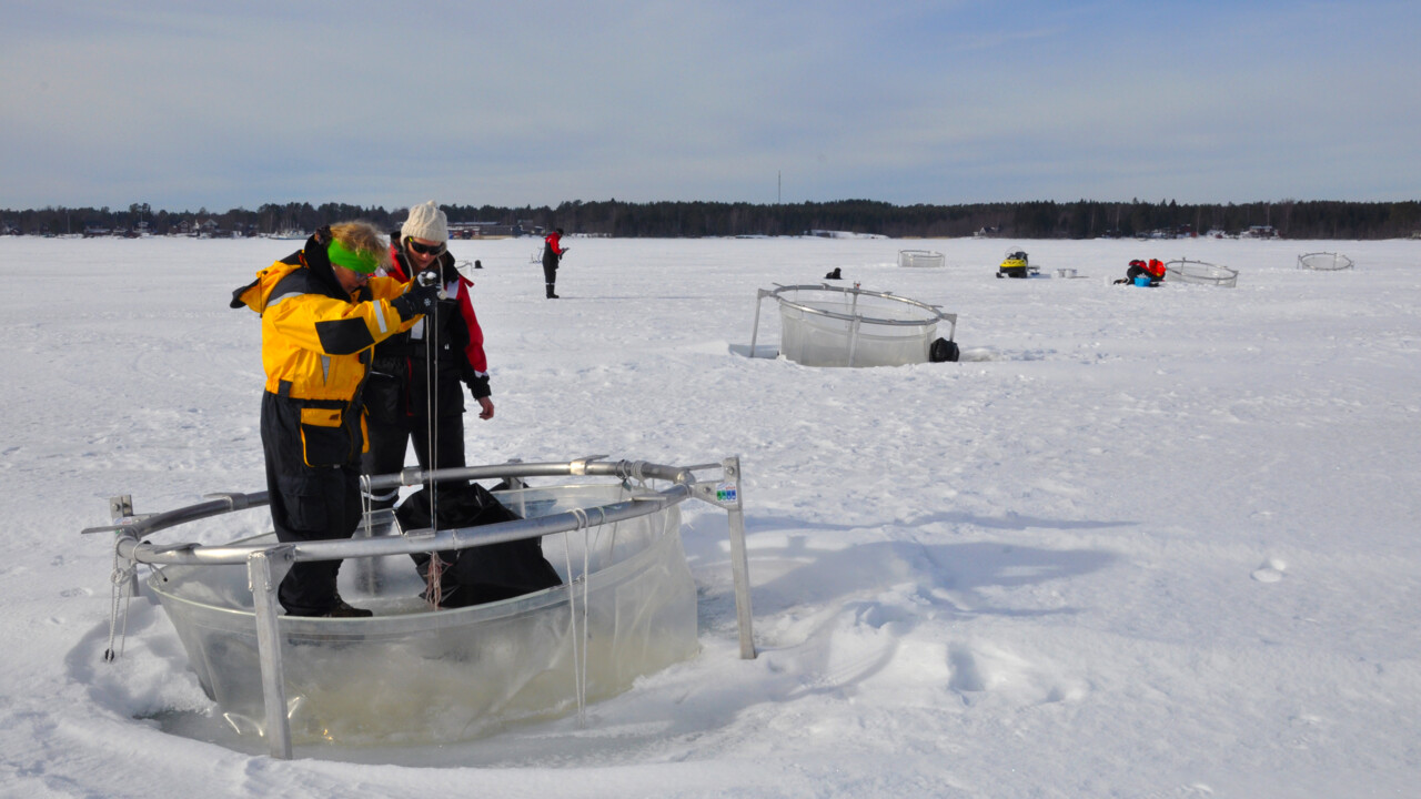 Ställningar med plastsäckar i som ligger placerade i havet.