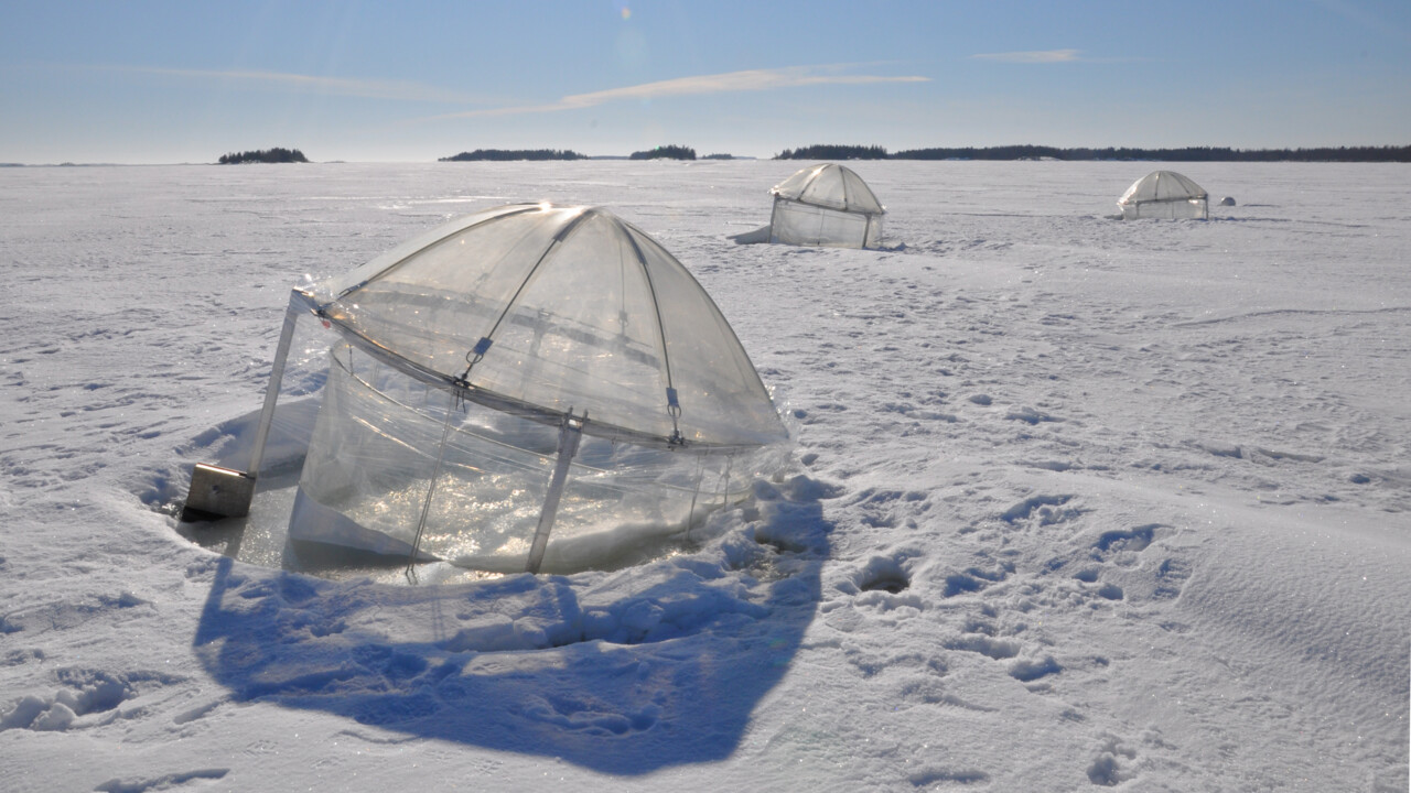 Ställningar med plastsäckar i som ligger placerade i havet.