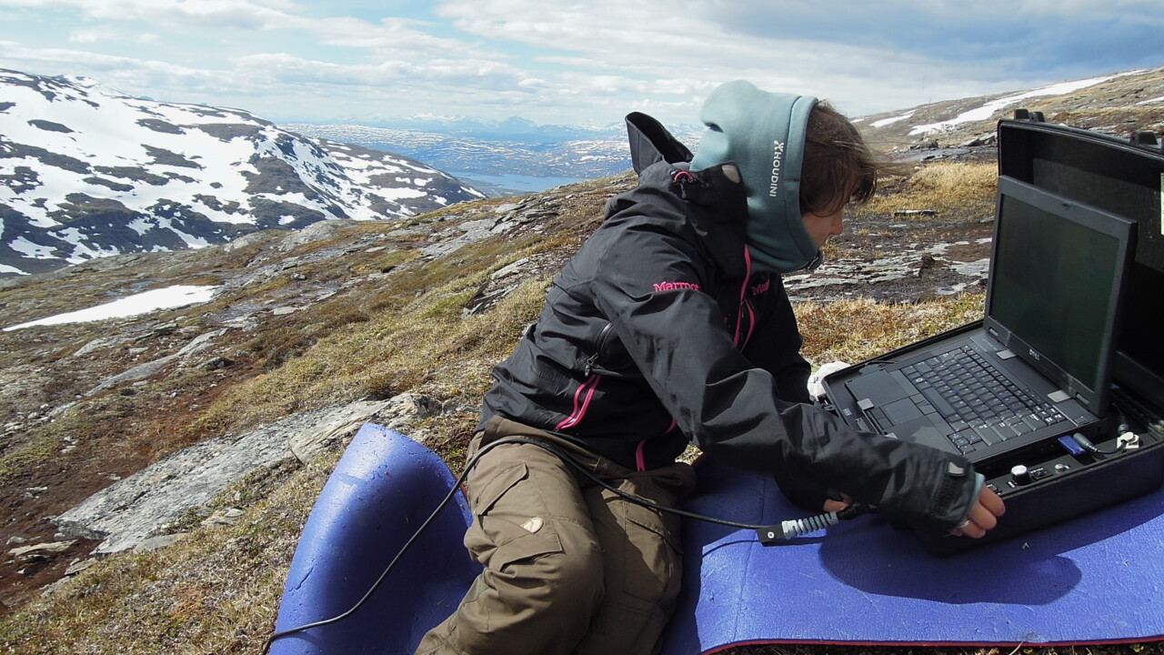 Image of field research in Abisko