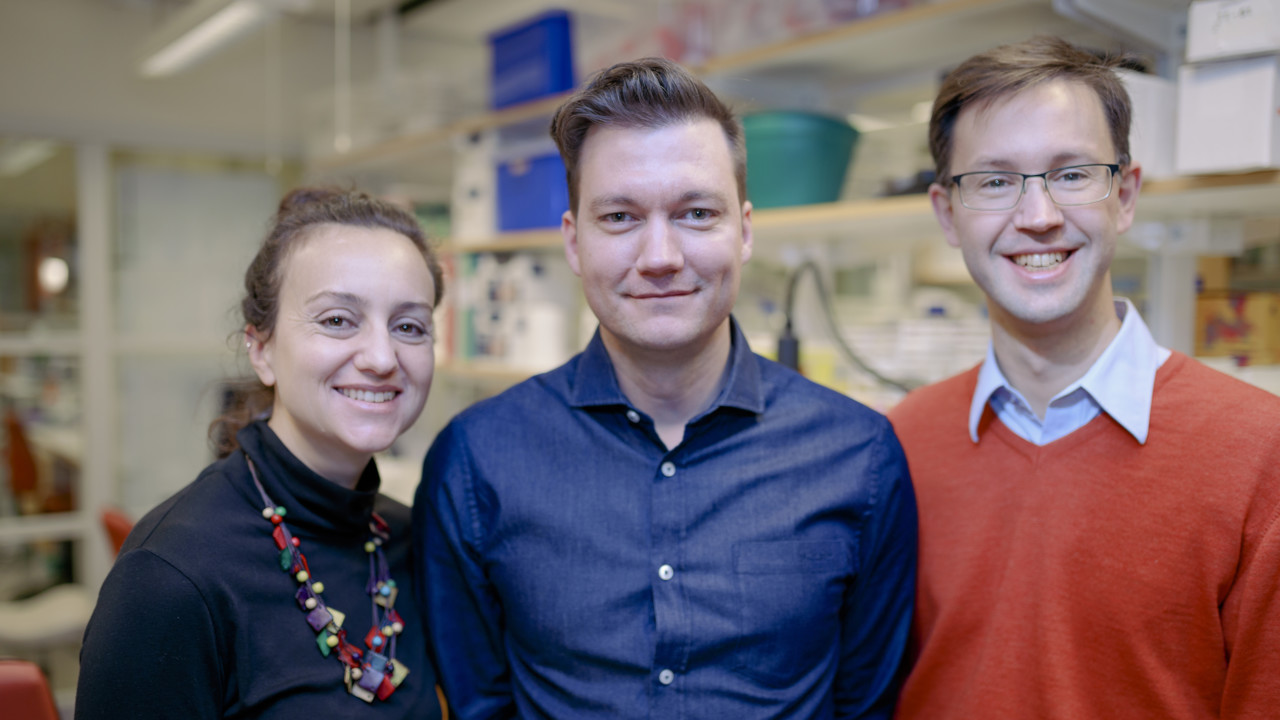 Academic positions and docentship