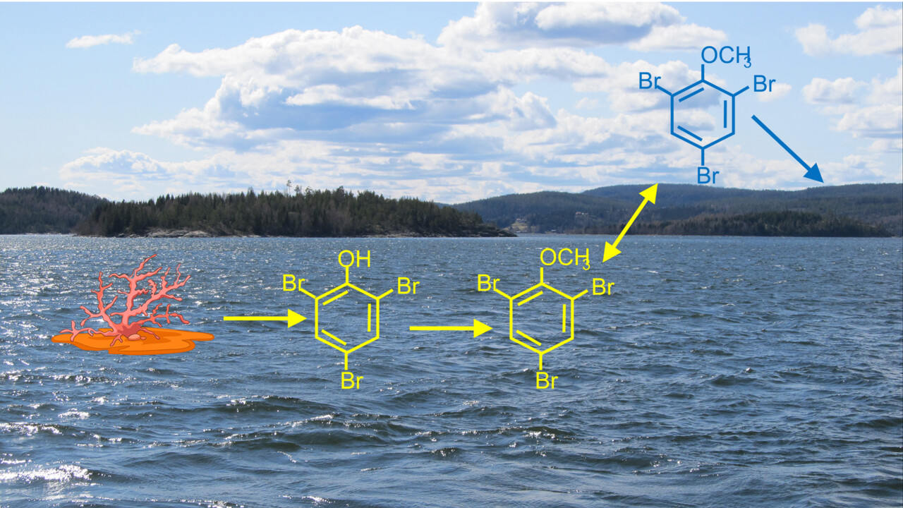 Kemisk struktur på halogenerade ämnen