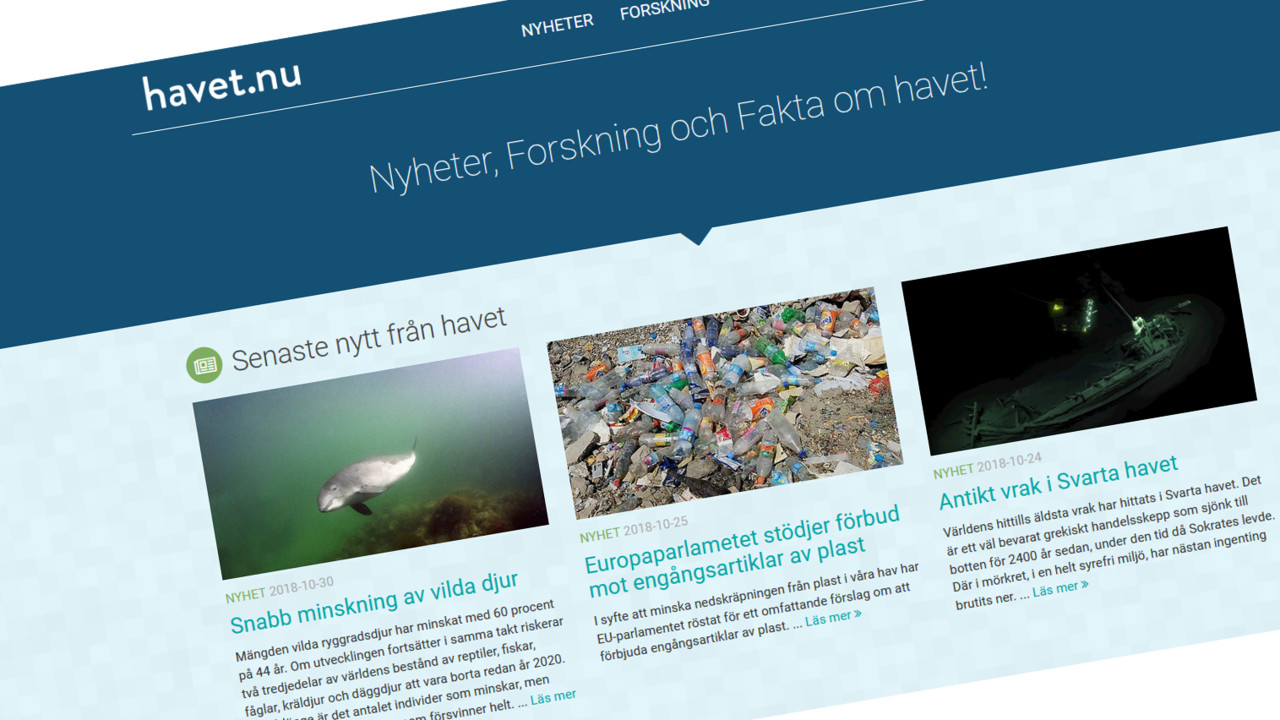 skärmdump från havet.nu