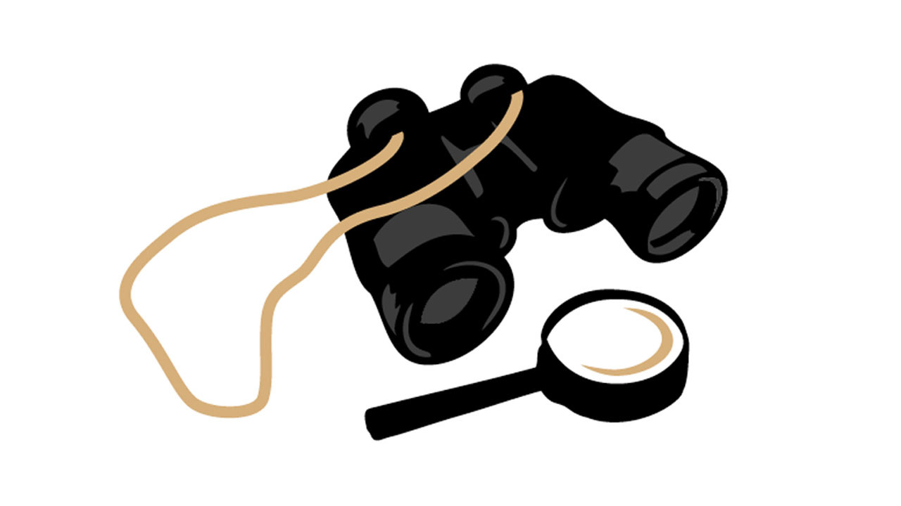 An image illustrating binoculars and a magnifying glass.
