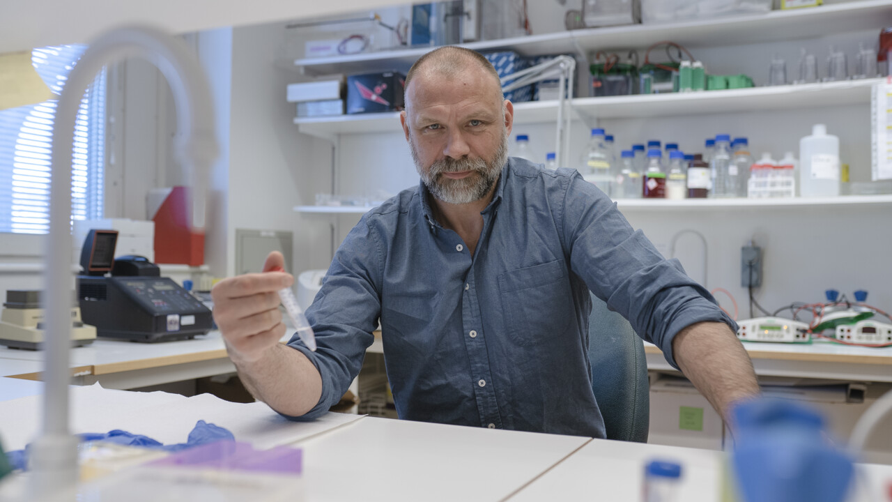 professorsbilder årshögtiden Johan Holmberg