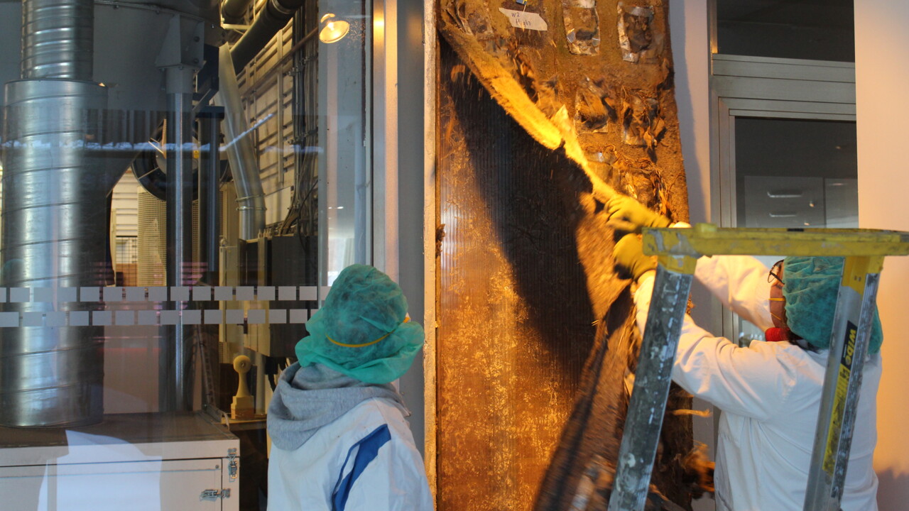 Rivning av växtvägg på Konstnärligt campus