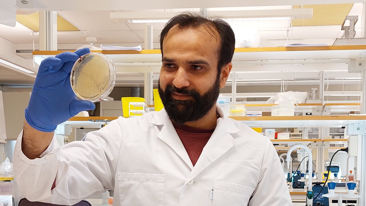 Irfan Ahmad, Institutionen för molekylärbiologi