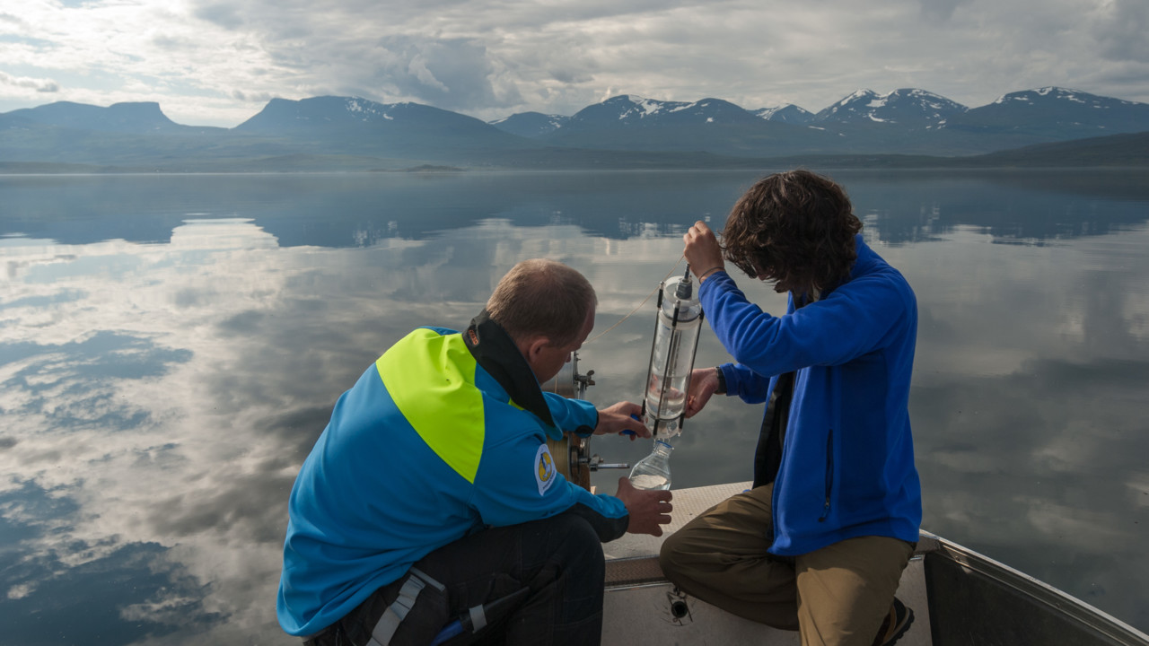 Link to page about our education programmes