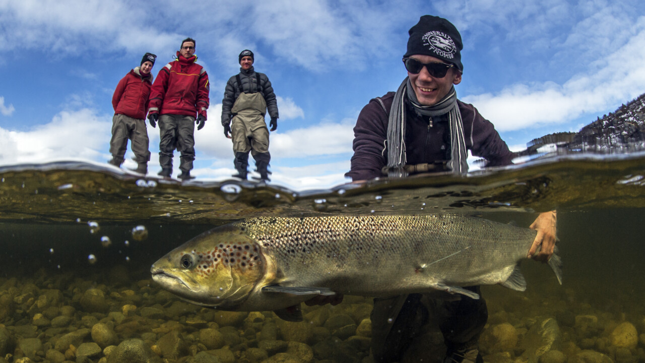 Johan Leander, doktorand EMG
