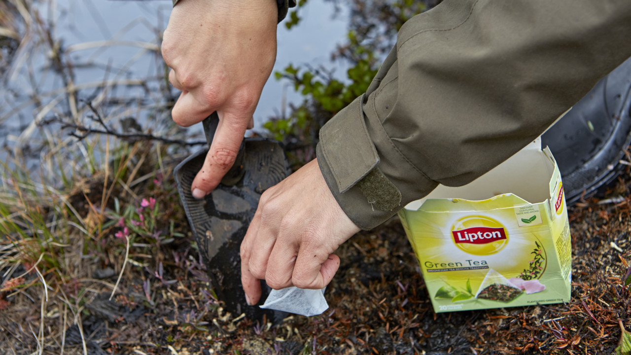 Judith Sarneel in Abisko. Judith Sarneel in Abisko.