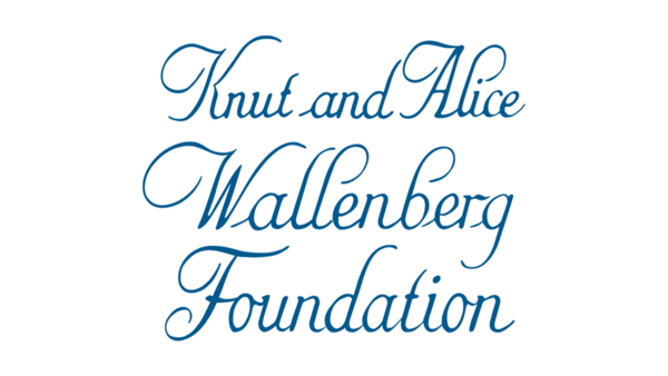 Wallenberg Academy Fellow