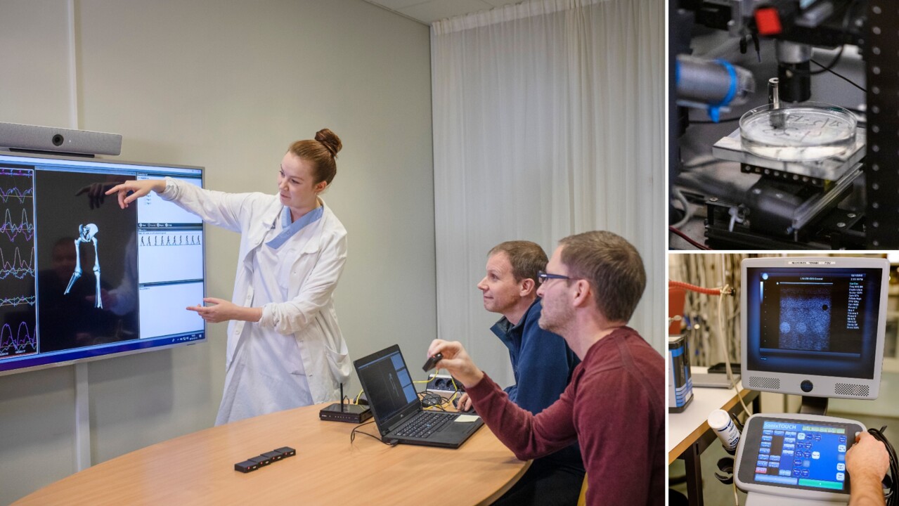 Biomedical Engineering and the practical skills that the programme will give, you will have great opportunities in various areas of work