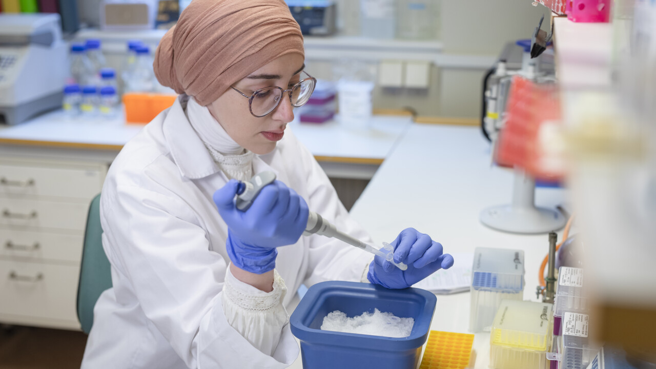 Big ideas welcome: postdoc call in Sweden seeks original thinkers