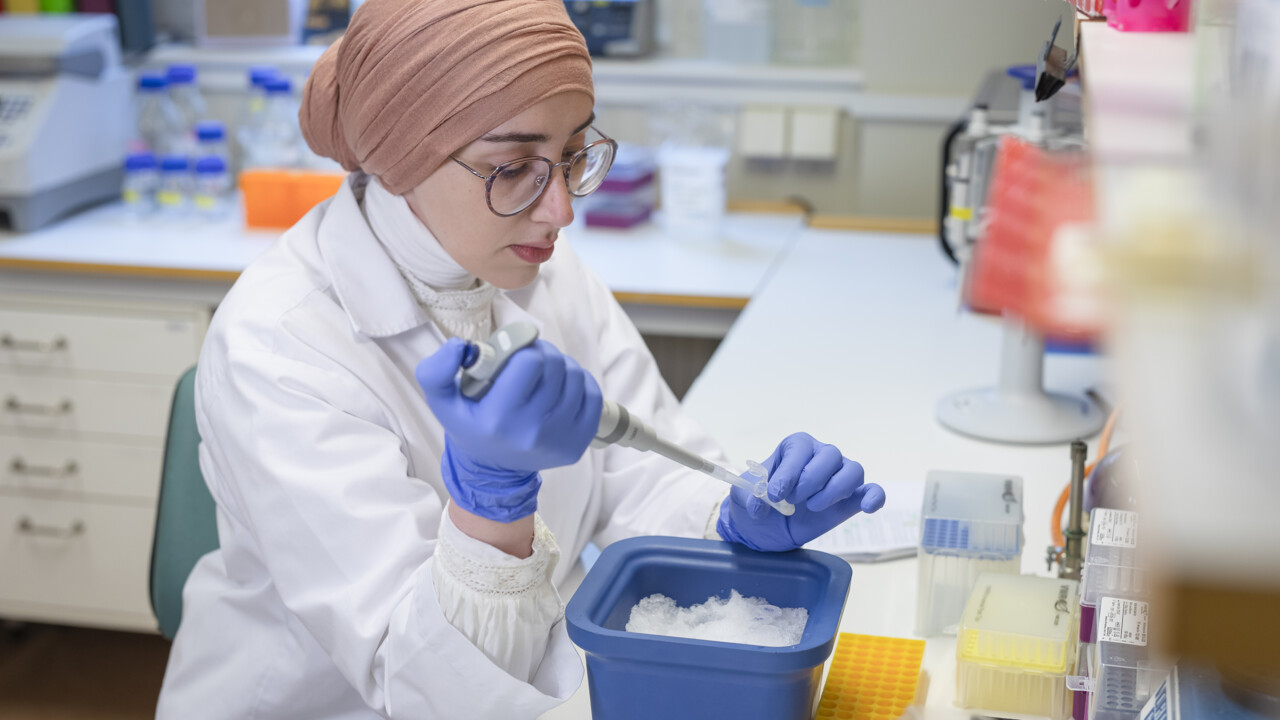 Big ideas welcome: postdoc call in Sweden seeks original thinkers