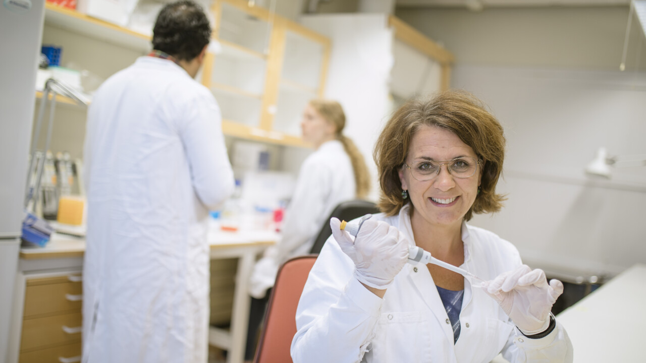 Professors at the faculty of medicine