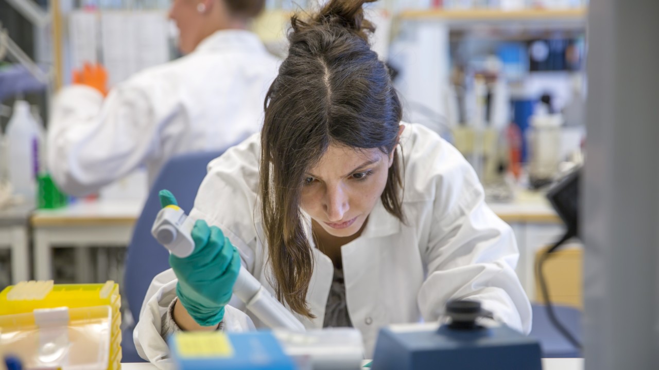 Mahsa Fallah i labbet