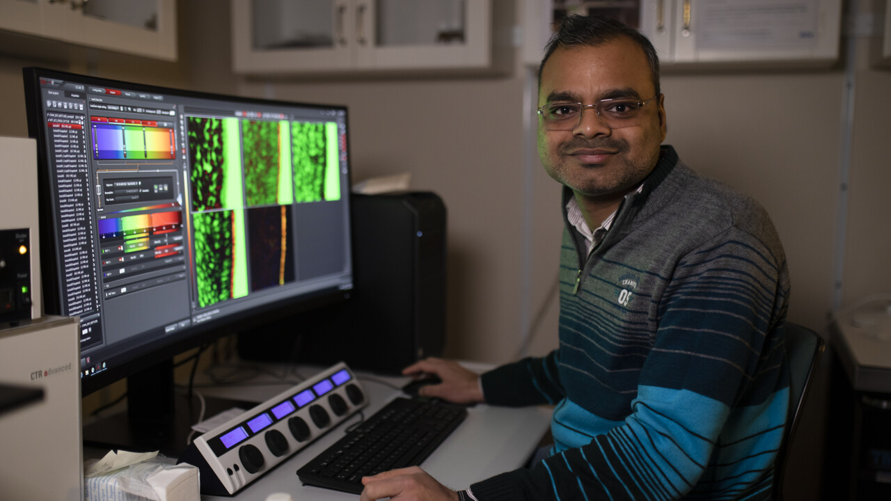 Devendra Kumar Maurya