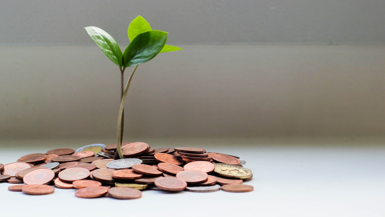 Liten planta växer i en hög av mynt